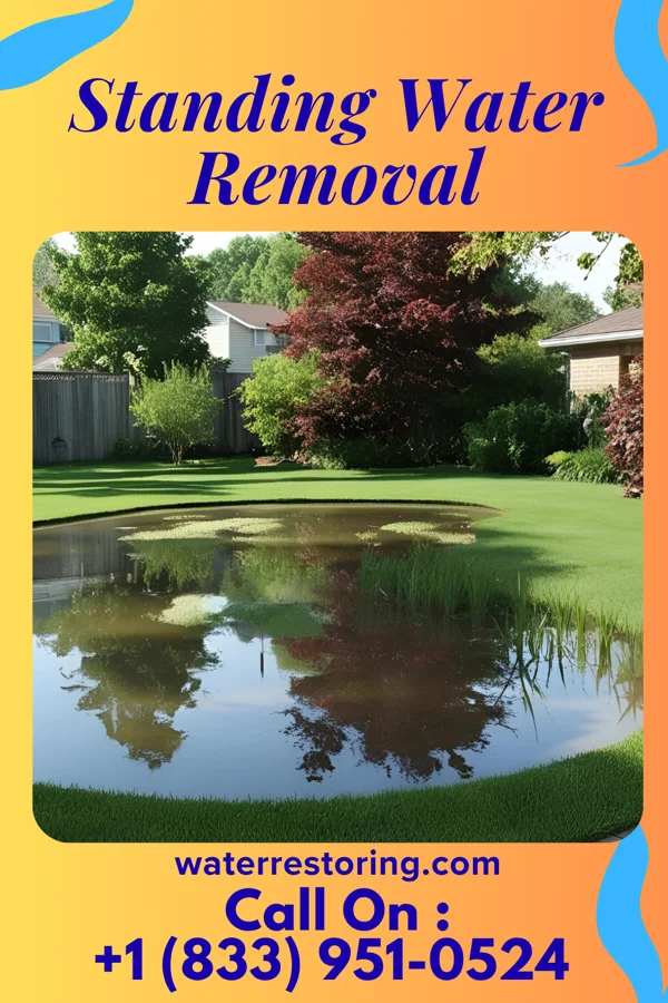 Standing Water Removal in Bragg City, MO